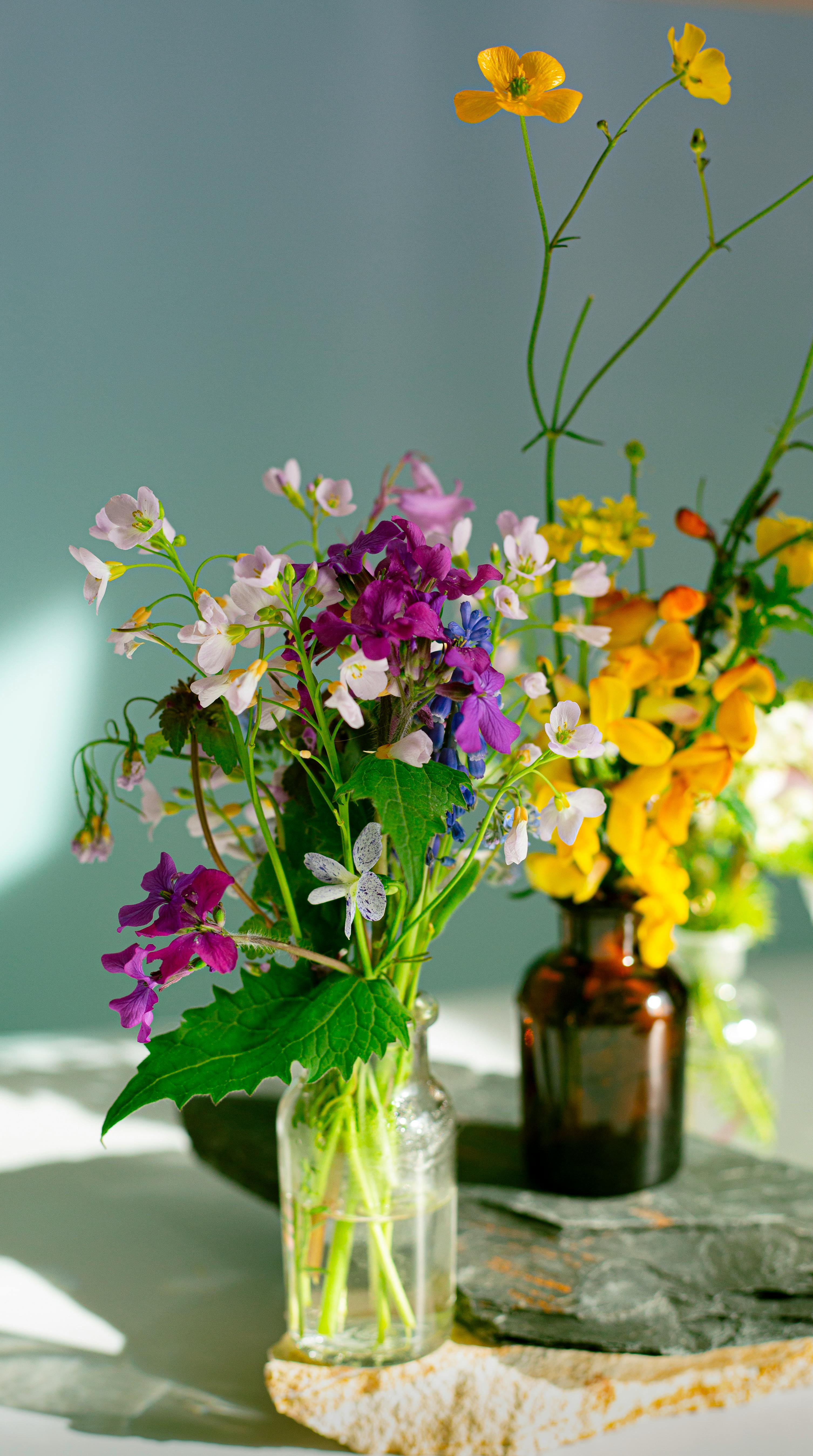 Colorful Flowers on Glass Vases · Free Stock Photo