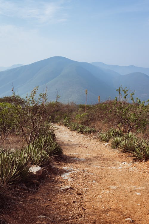 A Brown Dirt Road Near Mountain
