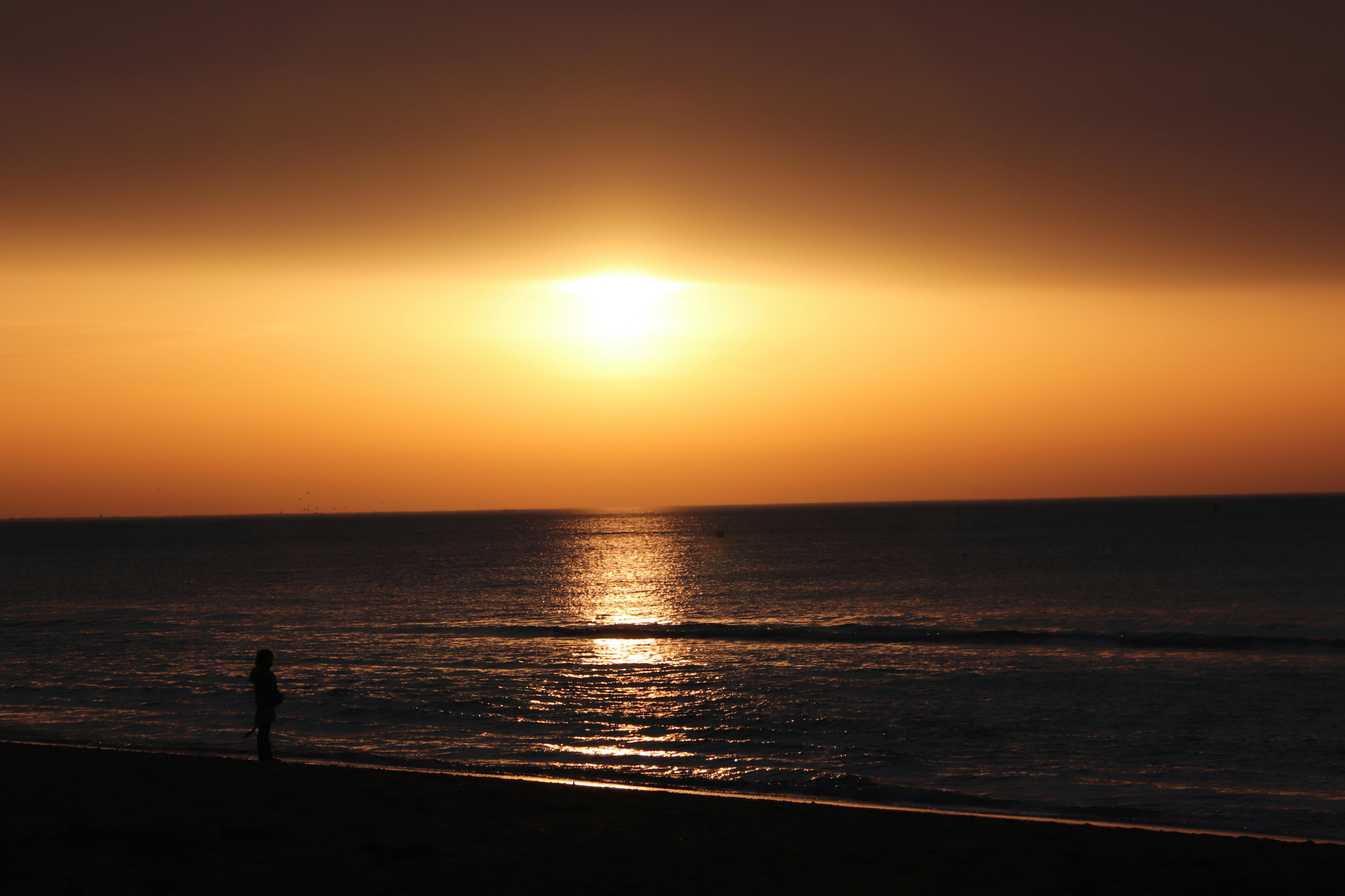 Scenic View of Sea during Sunset · Free Stock Photo