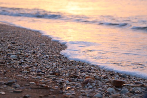 Close-Up Shot of Crashing Ocean Waves on the Sea Shore during Sunset