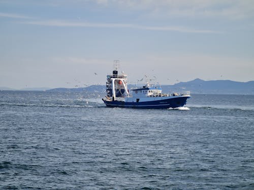 Fishing Boat on the Ocean