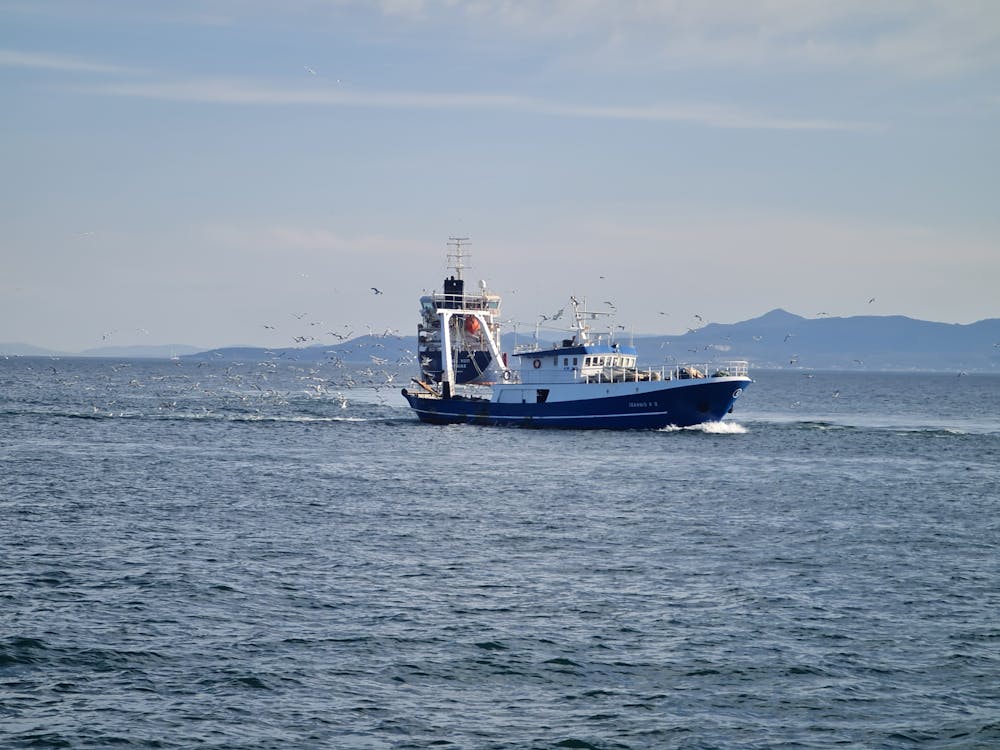 Immagine gratuita di acqua, barca da pesca, mare