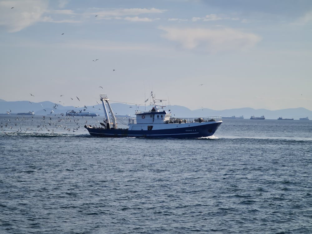 Immagine gratuita di acqua, barca da pesca, mare