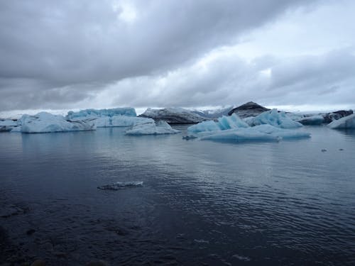 Loose Icebergs on the Lake