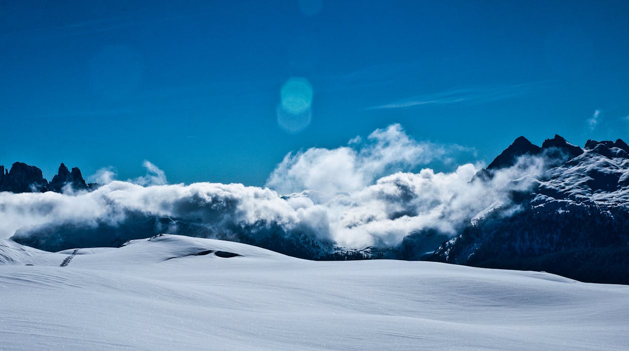 FBI AI 面部識別擴張:2026 年隱私危機與監控革命全解析 FBI AI 面部識別擴張:2026 年隱私危機與監控革命全解析