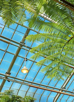 View of a greenhouse ceiling with lush ferns and a single overhead light.