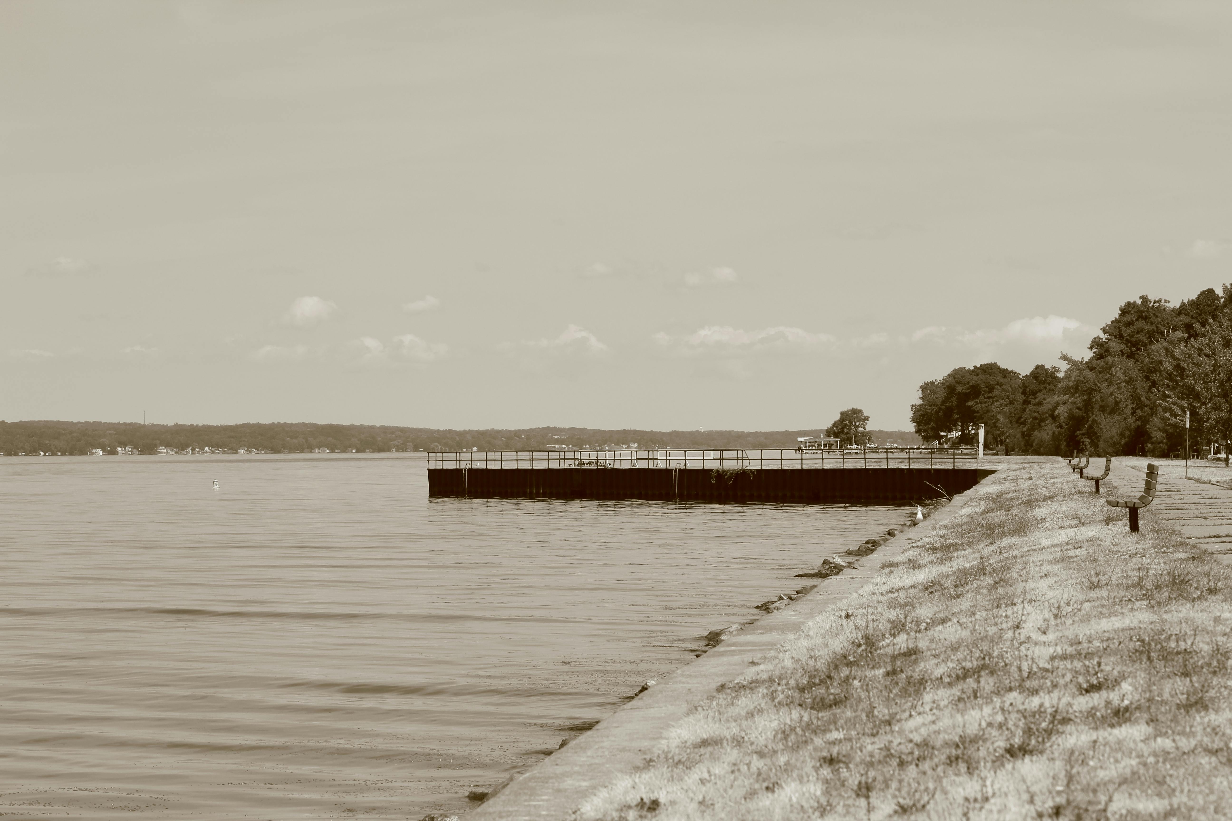 Fans reacting to a video