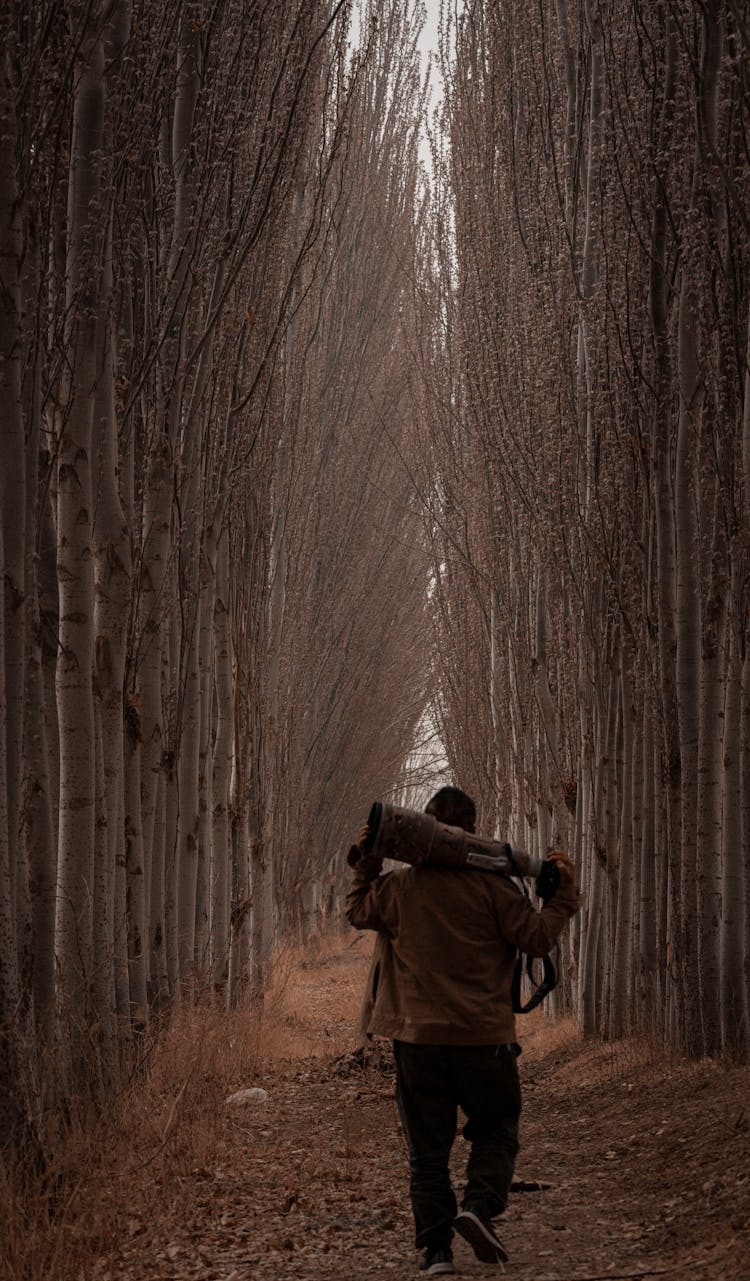 Man Walking Through Path Between Trees