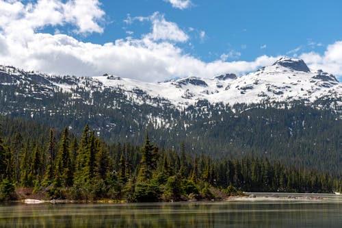 Green Trees near Snow-Covered Mountain under the Cloudy Blue Sky