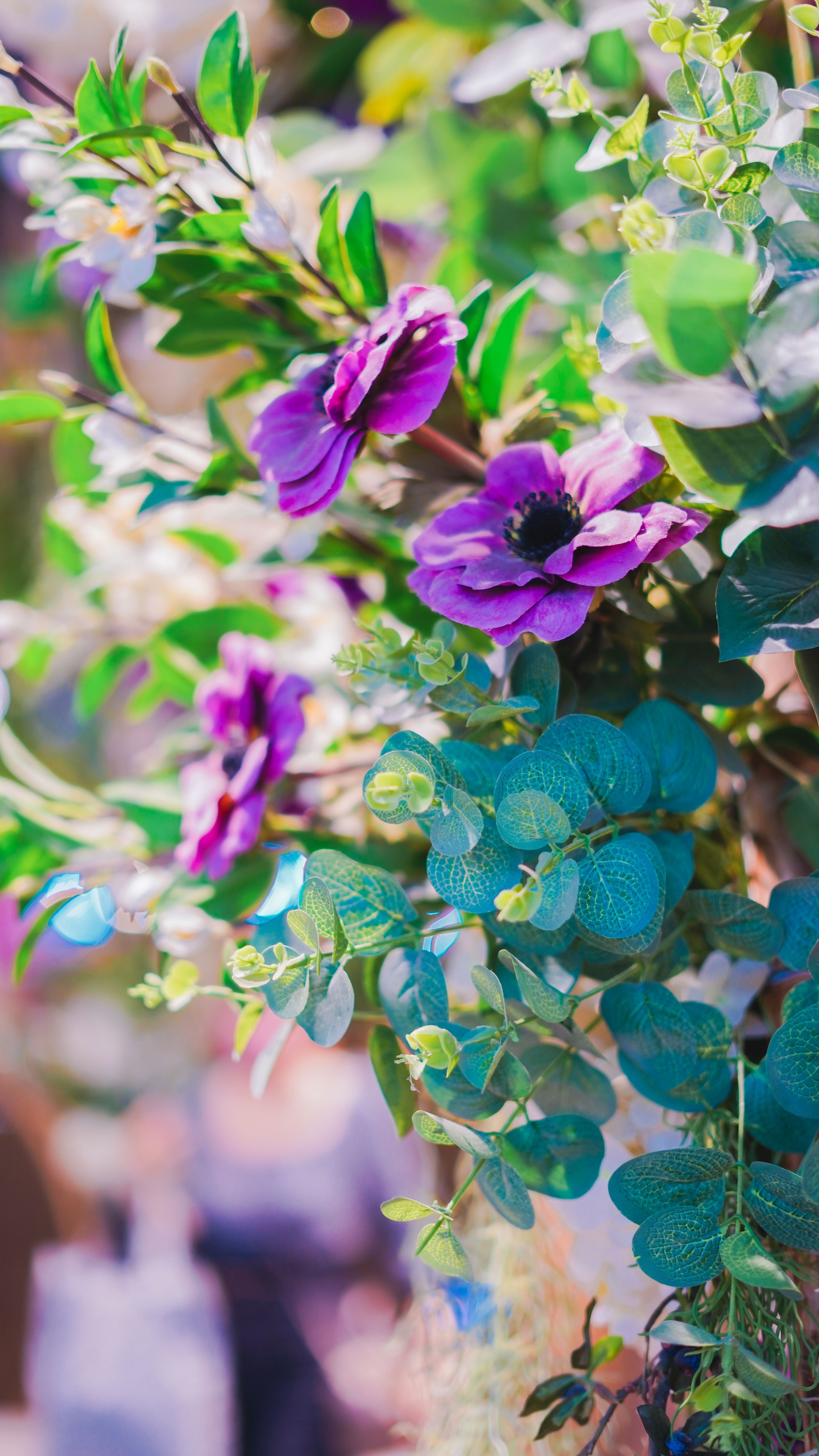 Close-Up Shot of Blooming Purple Flowers · Free Stock Photo