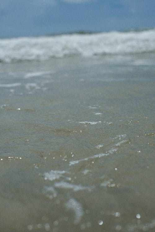 Ilmainen kuvapankkikuva tunnisteilla hiekkaranta, lähikuva, meri
