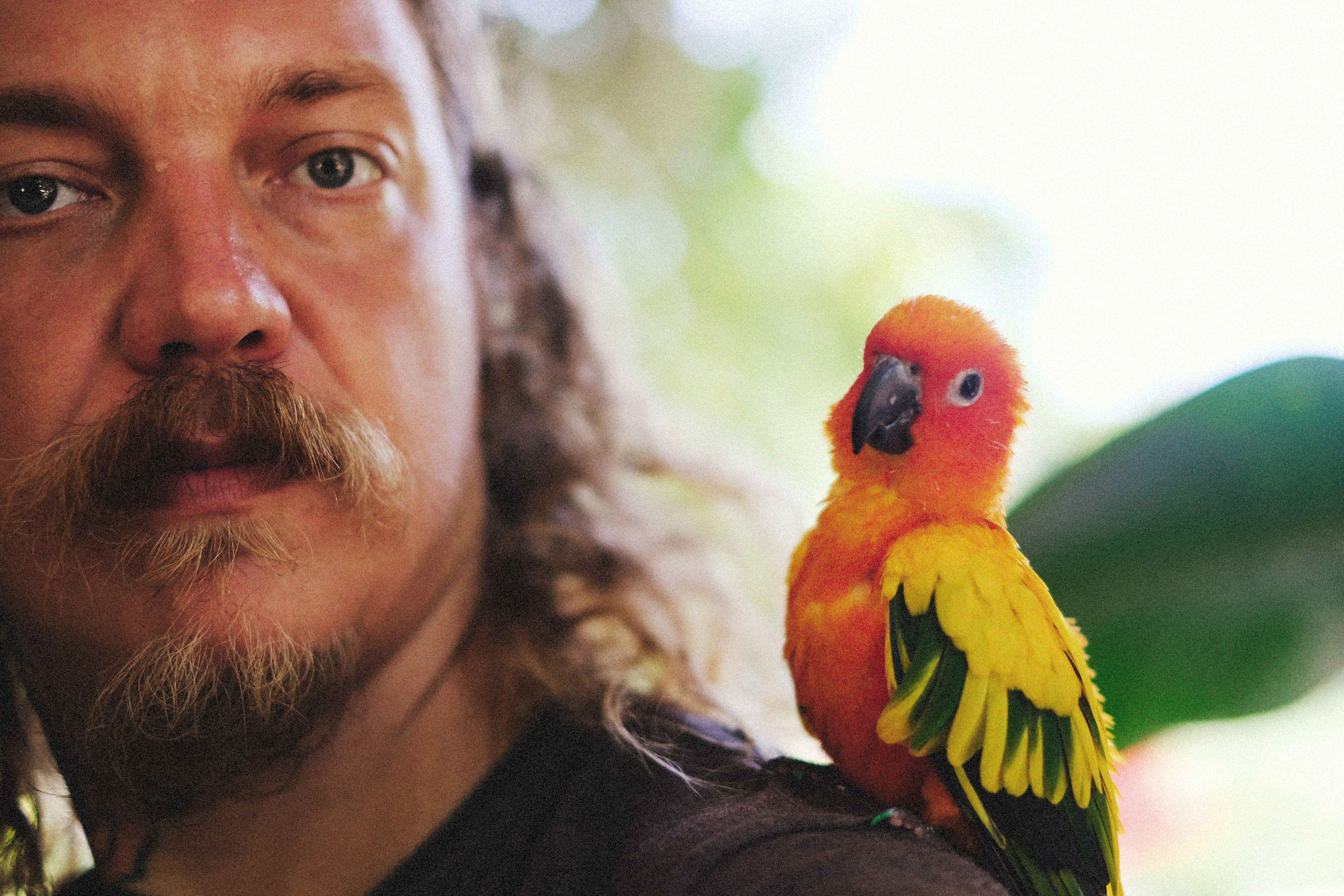 10 Essential Tips for Keeping Your Exotic Pet Happy