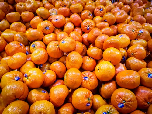 Free Photo of Pile of Oranges Stock Photo