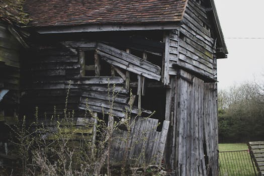 乡村中一座腐烂的木制谷仓，展现了乡村的魅力和优美的自然风光