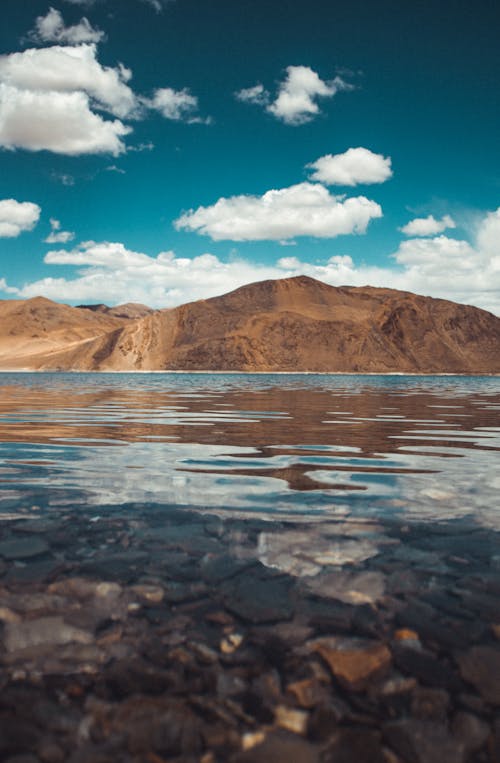 Fotos de stock gratuitas de cuerpo de agua, de cerca, lago