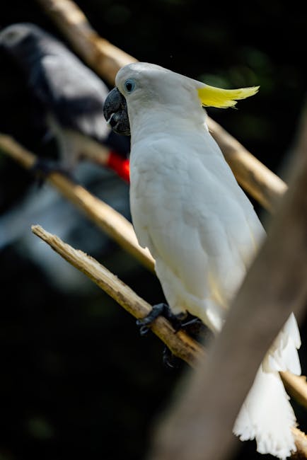 wildlife exclusion removal near me El Segundo wildlife exclusion removal El Segundo