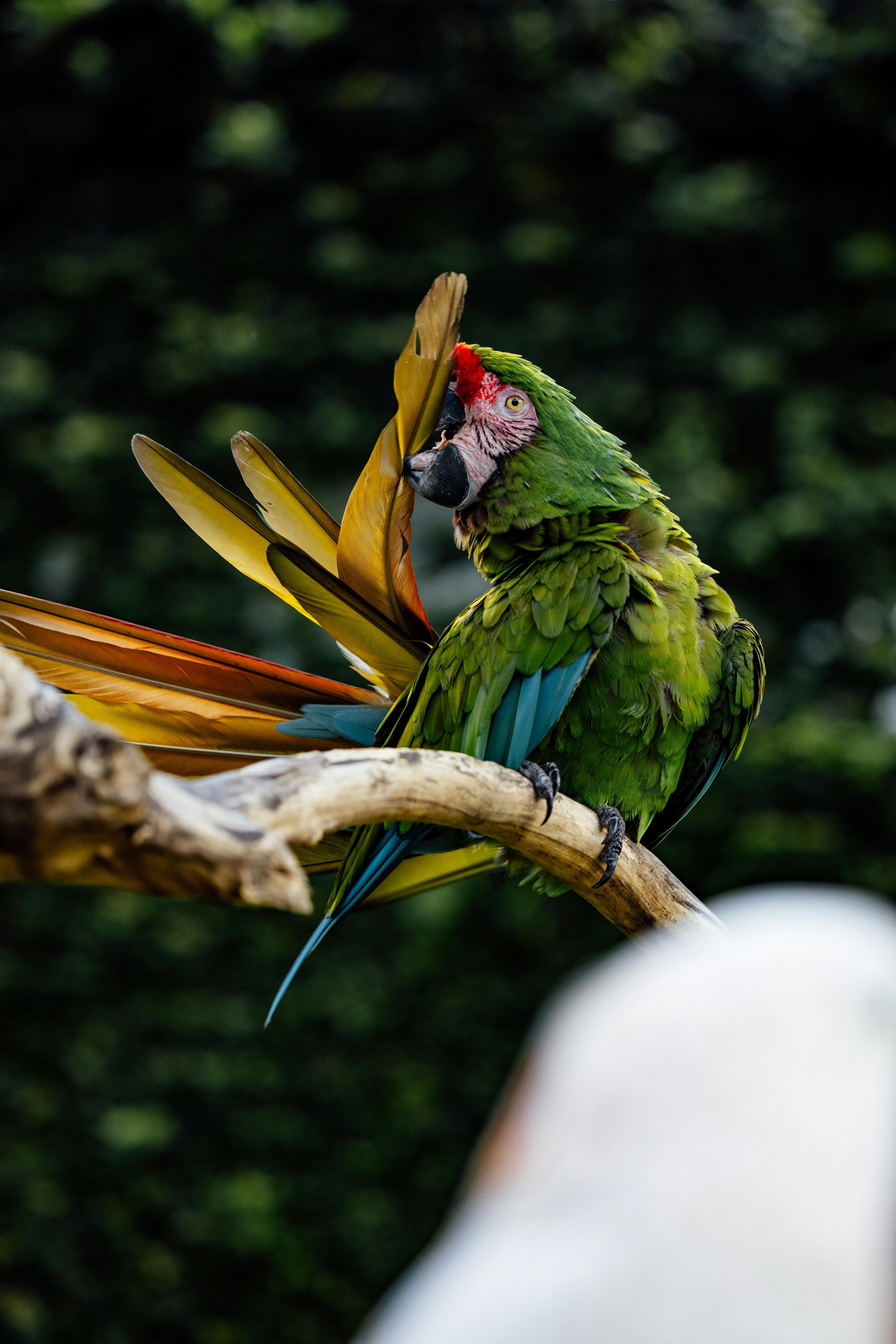 Photo by ROMAN ODINTSOV