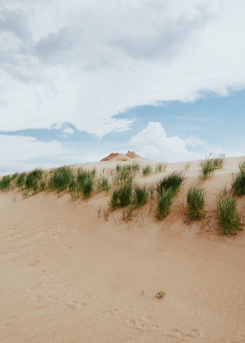 Free Serene view of sand dunes with grass under a blue sky in Klaipėda County, Lithuania. Stock Photo