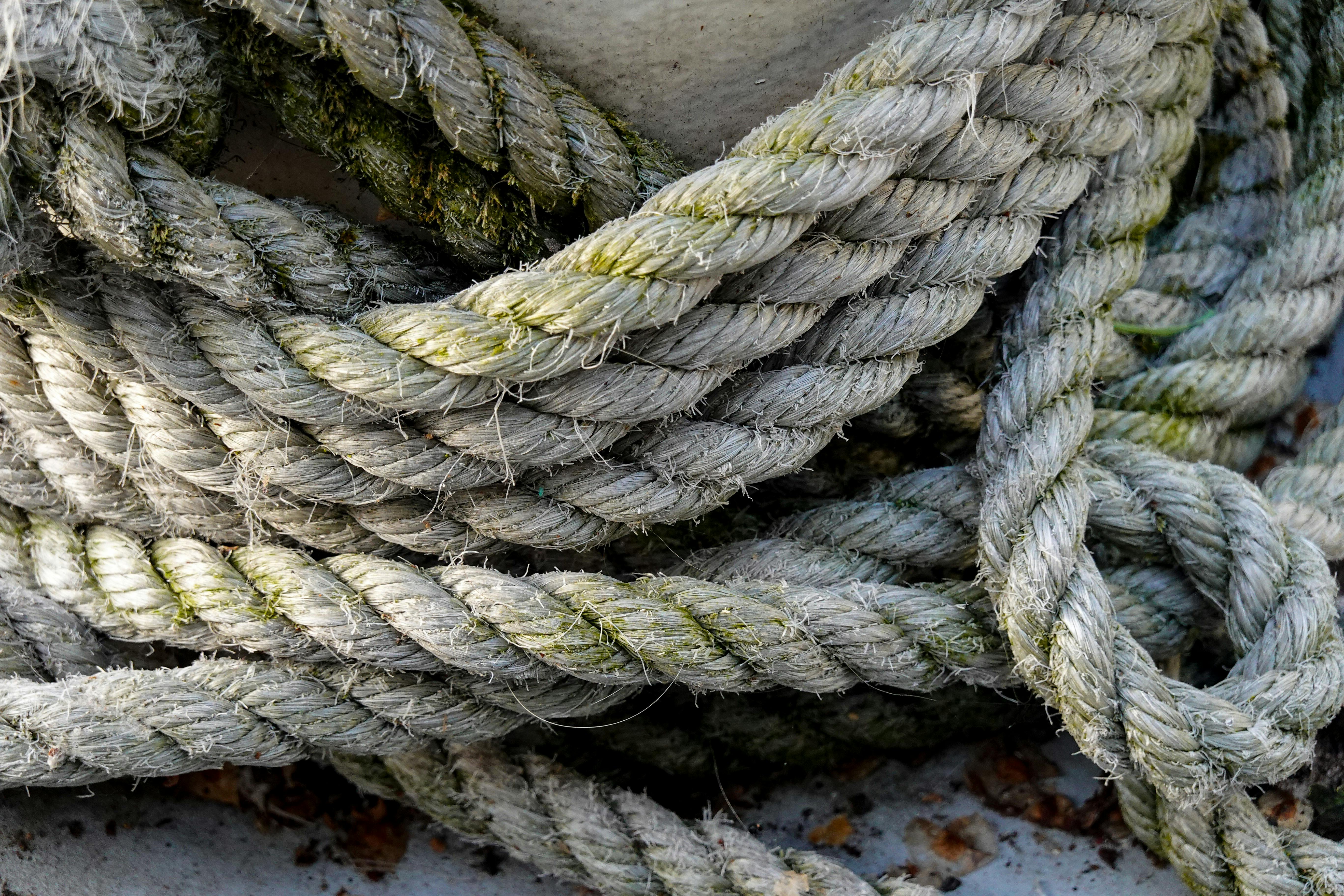 Dirty Rope in a Pier · Free Stock Photo