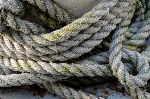 Free Detailed close-up of an old, moss-covered rope. Ideal for nautical themes. Stock Photo