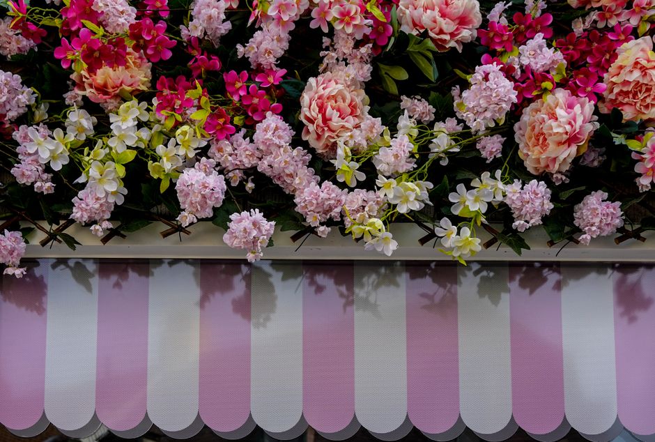 Colorful flowers arranged above a pink and white striped awning, showcasing vibrant botanical beauty.