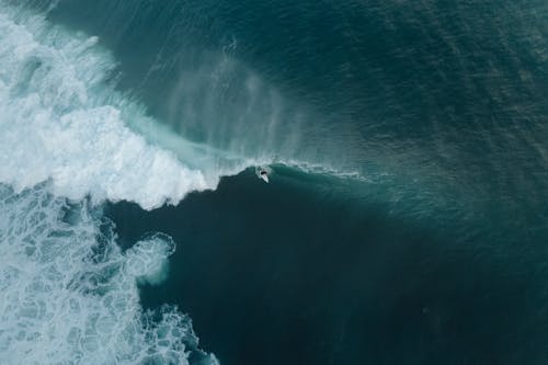 Free Aerial View of Surfer Swimming Across Waves Stock Photo