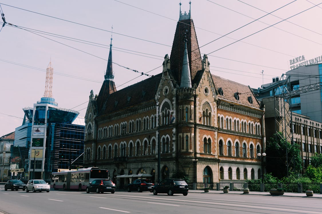 Free stock photo of city, city center, city life