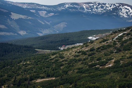 Aerial View Photography of Green Forest and Mountains