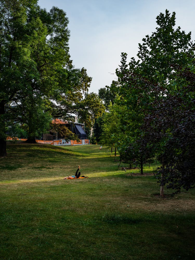 Woman Exercising In Park