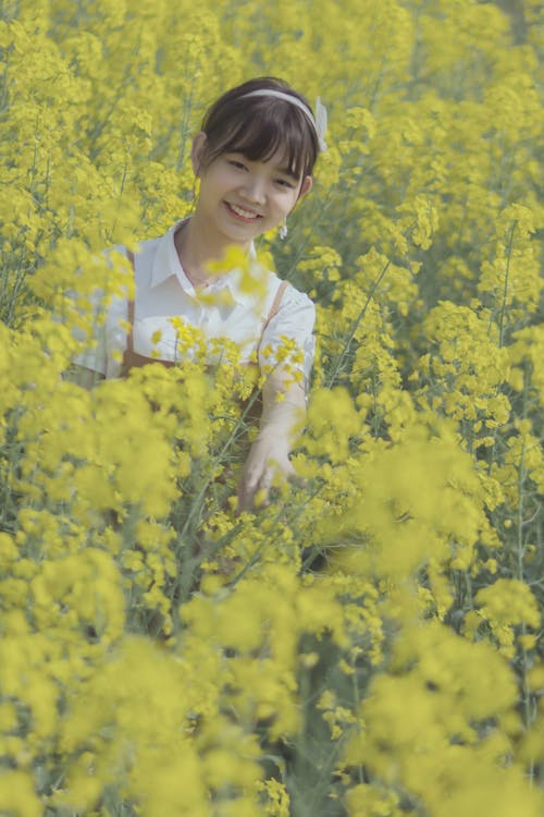 Free stock photo of chinese girl, lovely, person