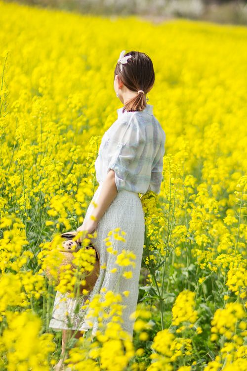 Free A woman in a plaid shirt stands in a vibrant yellow rapeseed field during the day, holding a basket. Stock Photo