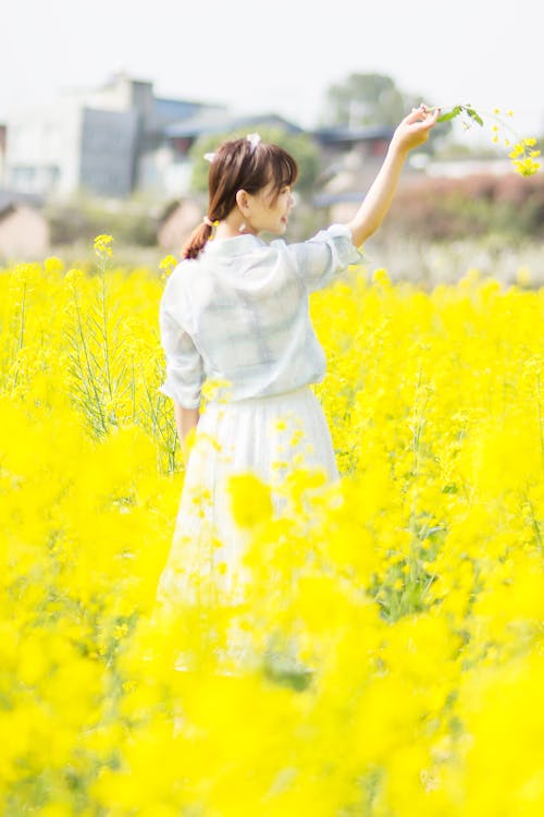 Free stock photo of chinese girl, lovely, person