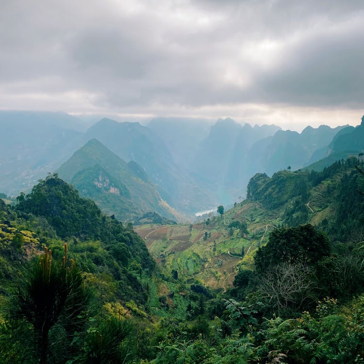 Landscape Of Mountains And A Valley Covered In Rainforest 