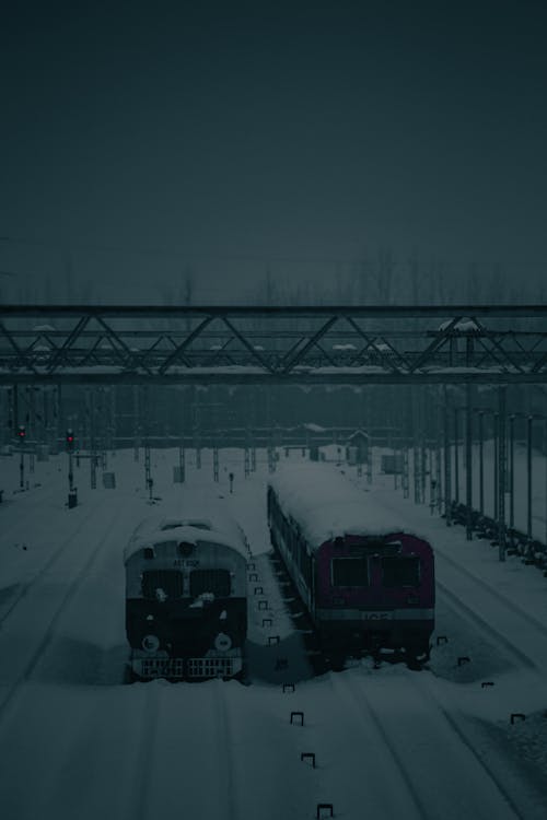 Locomotives at a Railway Station Buried in Snow During a Snowfall