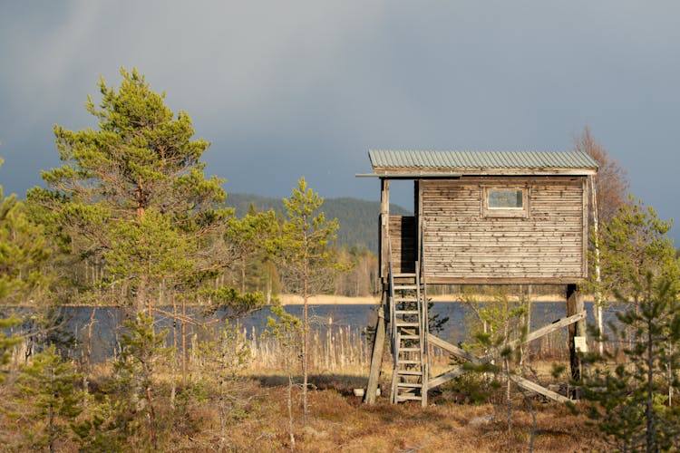 Elevated Wooden House On The Lakeshore