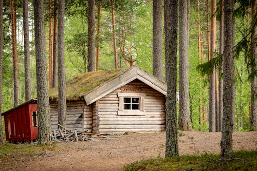 Free Log Cabin in the Woods Stock Photo