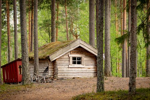 Free Charming log cabin nestled amidst lush trees in a peaceful Swedish forest setting. Stock Photo