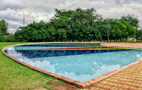 A Swimming Pool Near Green Trees