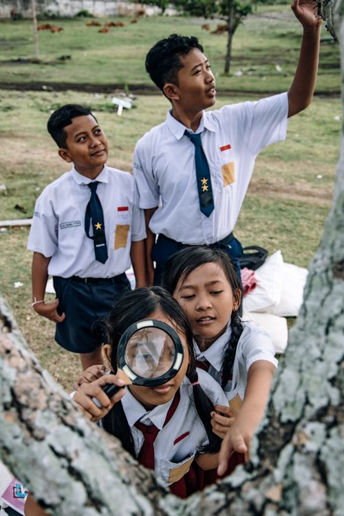 Free Group of students in school uniforms examining a tree outdoors with a magnifying glass. Stock Photo