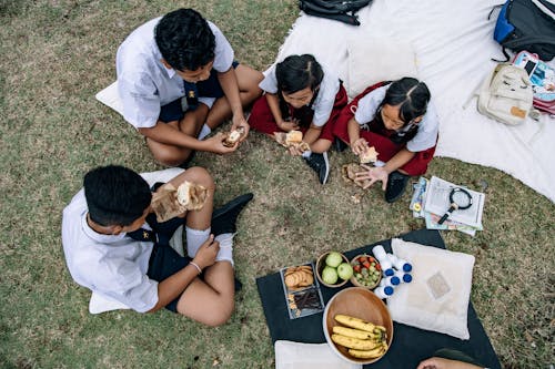 Gratis stockfoto met docent, kids, picknick