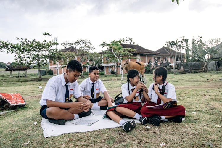 A Group Of Students Sitting On A Grassy Field