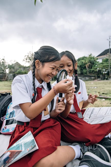 The Importance of Hobbies in Education