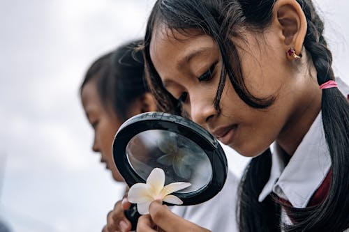 Gratis stockfoto met kids, scholieren, school uniformen