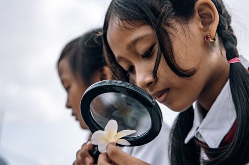 Free Curious schoolgirls examine a flower closely through a magnifying glass, sparking a love for science and discovery. Stock Photo
