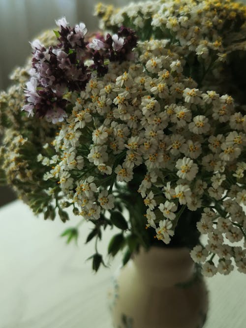 Gratis stockfoto met bloemen, bloemstuk, boeket