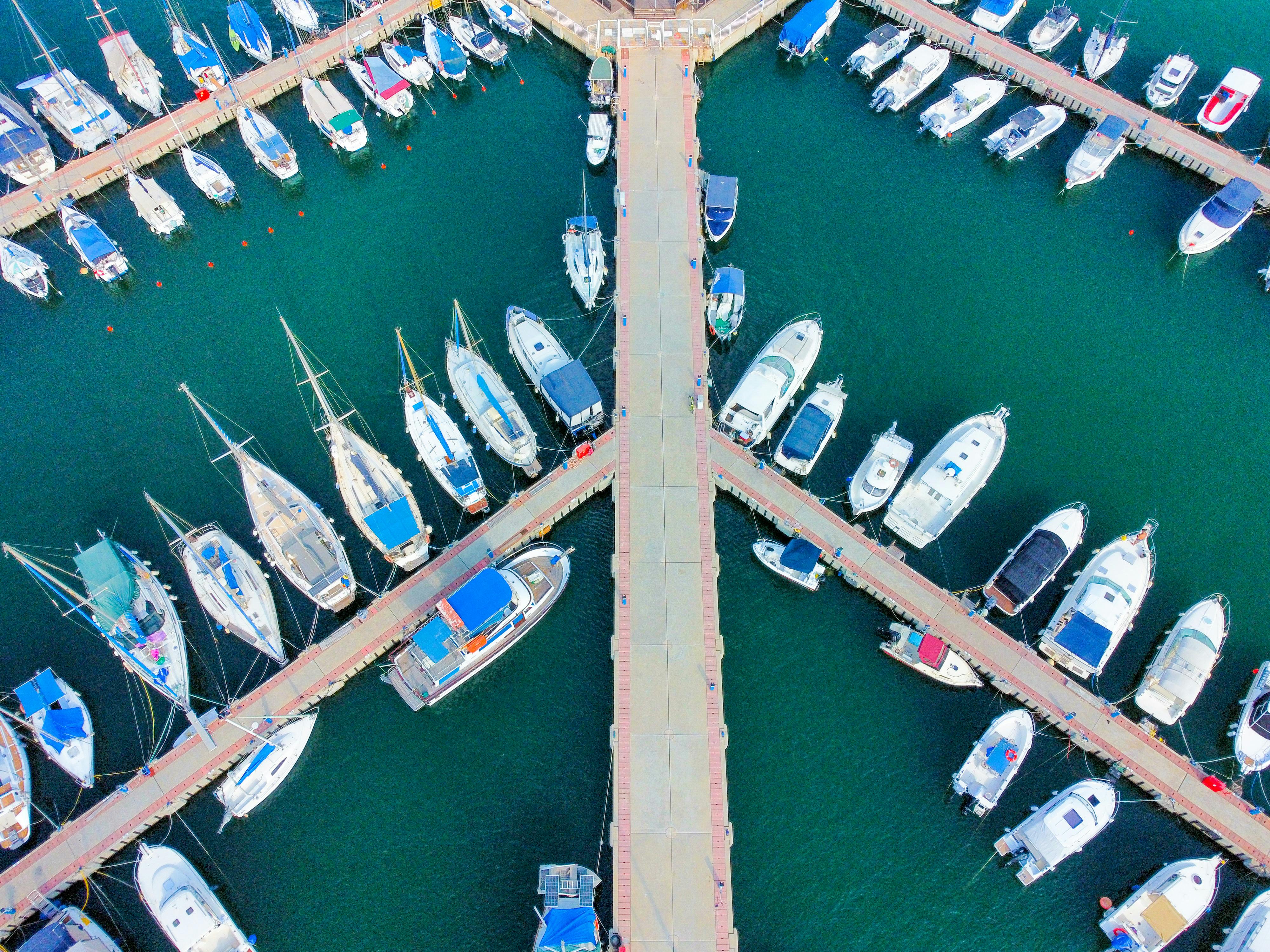 August Fleet Sales See Double-Digit Growth in Commercial and Rental Channels — Photo by Lio Voo on Pexels