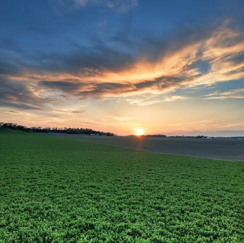 Imagine de stoc gratuită din agricultură, apus, câmp