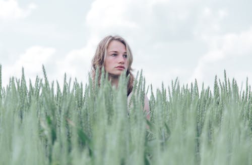 A Woman Standing on the Middle of a Wheatfield