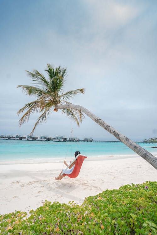 Photo of a Person Sitting on a Hanging Chair