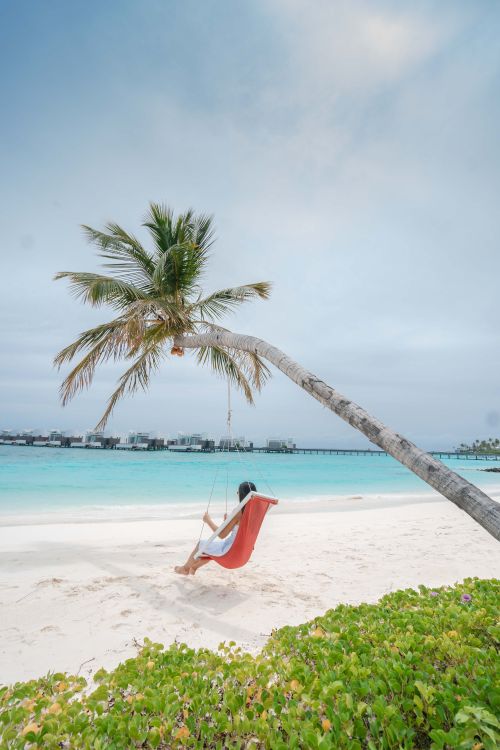 Free Person relaxing on swing under coconut palm tree on tropical beach with turquoise waters. Stock Photo